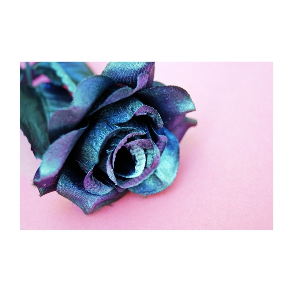 Meet your Posher, Mehgan